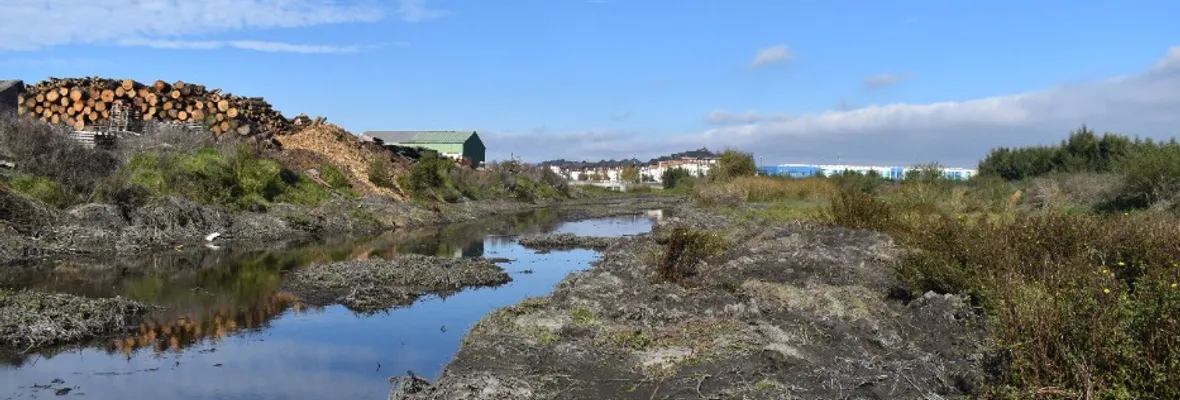 Vecinos/as de Talcahuano denunciaron destrucción de área protegida en canal Ifarle de Brisas del Sol