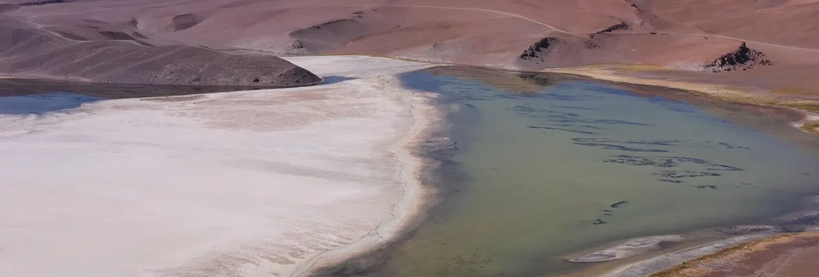 VIDEO| En Maricunga el Litio se va, pero la devastación queda