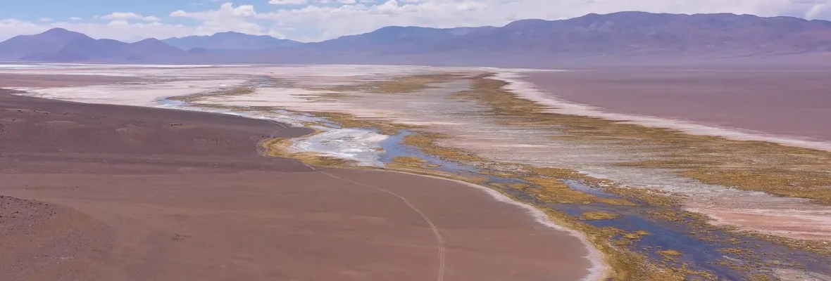 "La devastación del litio": Este lunes lanzan campaña por la defensa territorial del Salar de Maricunga