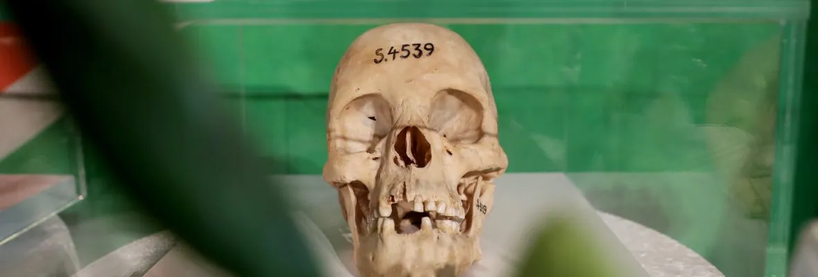 Alemania reconoce el genocidio colonial que perpetró en África