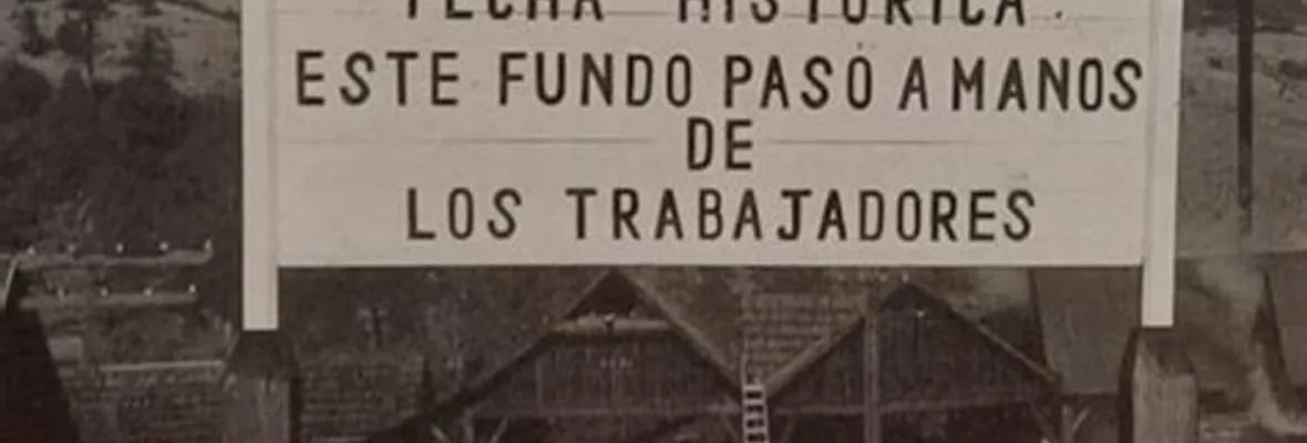 LIBRO| Una utopía posible. Relatos del Complejo Forestal y Maderero Panguipulli