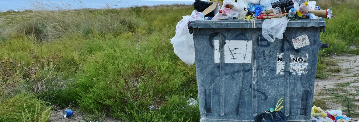 La amenaza de la basura llega a Rafael: Comunidad se opone a instalación de vertedero en Tomé