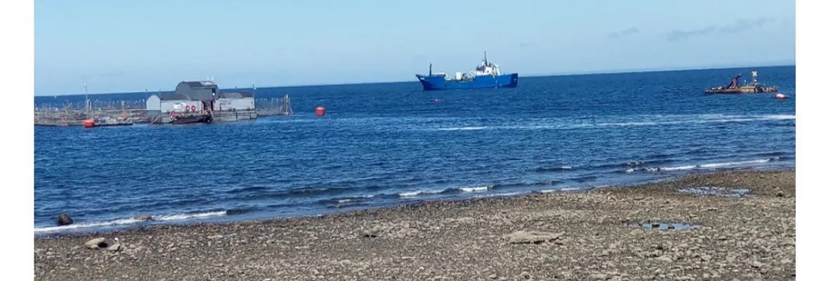 Organizaciones de Calbuco: testigos de un intento final de esta administración municipal por dejar amarrados los últimos cabos en favor del empresariado