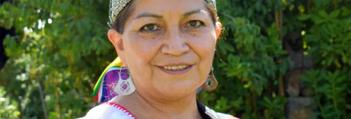 Elisa Loncon ante críticas por rol de su hermano en el PPD: "Son patriarcales, colonialistas y racistas"
