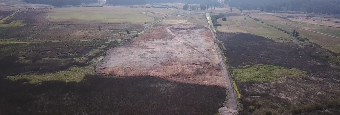 Estudio PRAS alerta grave degradación de Humedal Calabozo en Coronel, el más extenso de la comuna