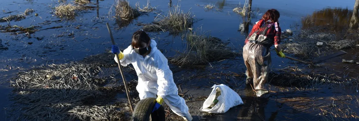 Canal Ifarle: Destrucción de sitio prioritario en Talcahuano sigue sin tener responsables claros