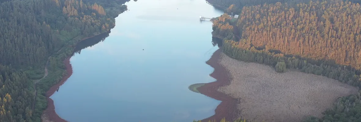 Video alerta crítico estado de Laguna Quiñenco en Coronel