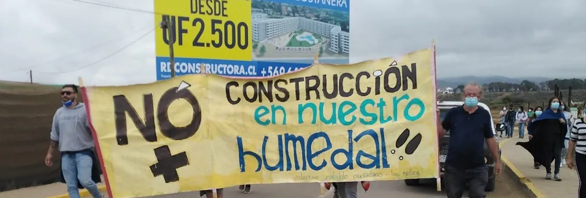 Vecinos de la localidad de Los Molles demandan invasión inmobiliaria, poca capacidad de alcantarillado y destrucción de Humedal Estuario