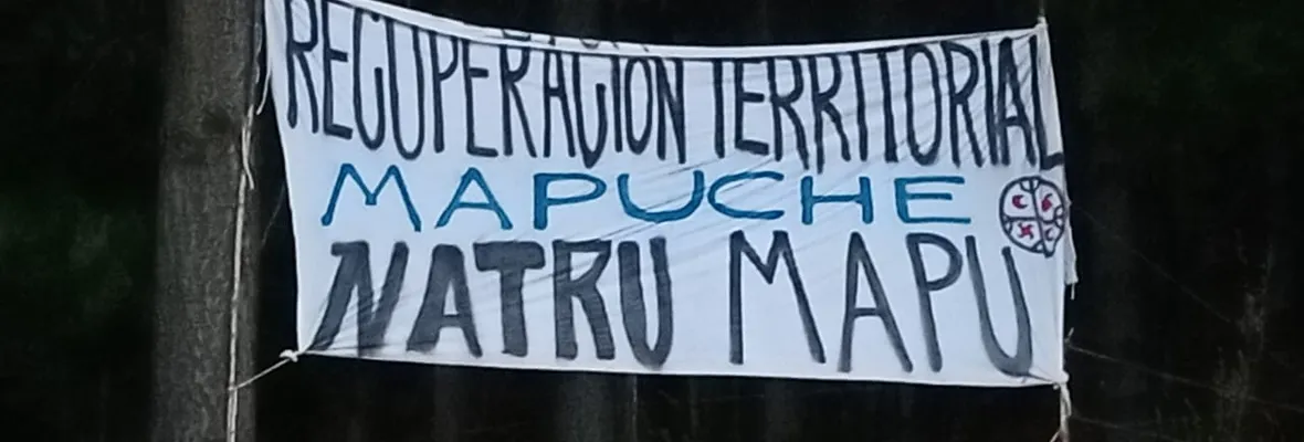Comunidades inician proceso de recuperación en valle de Elicura: Acusan fuerte represión policial