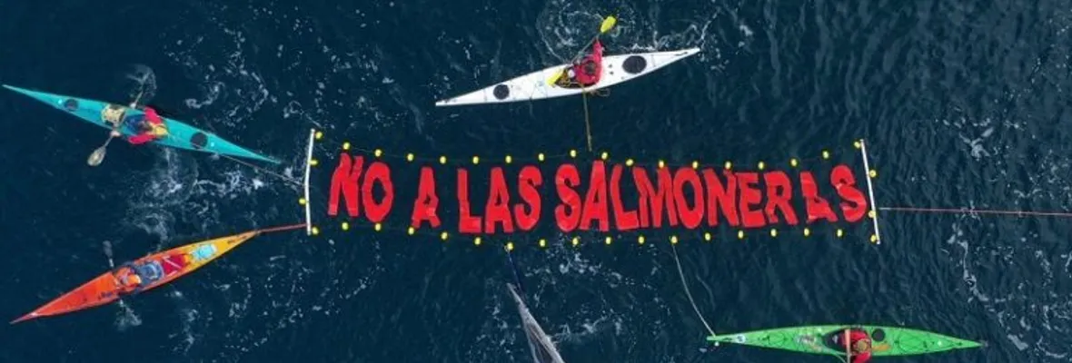 Inédito: Argentina prohibió la cría de salmones en Tierra del Fuego