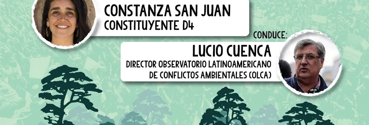 Constituyente Constanza San Juan participará este miércoles en Conversaciones Eco-Constituyentes