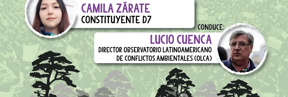 Constituyente Camila Zárate Zárate participará este miércoles en Conversaciones Eco-Constituyentes