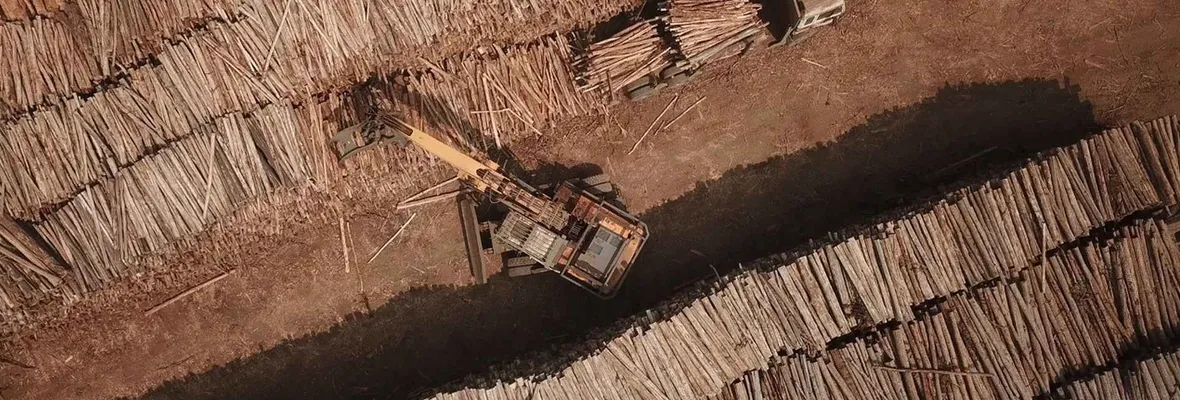 ¿A costa de qué?: Estudio señala que 87% de las exportaciones de Chile son producto de extracciones de bienes comunes naturales