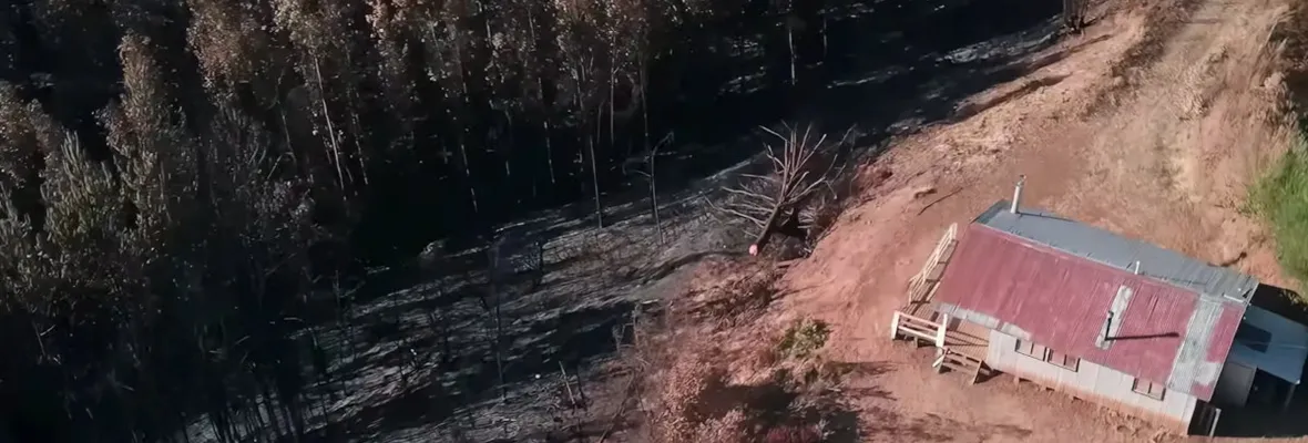Urge debatir intereses de empresas forestales versus necesidades de comunidades rurales con respecto al agua y riesgo de megaincendios, apunta académico
