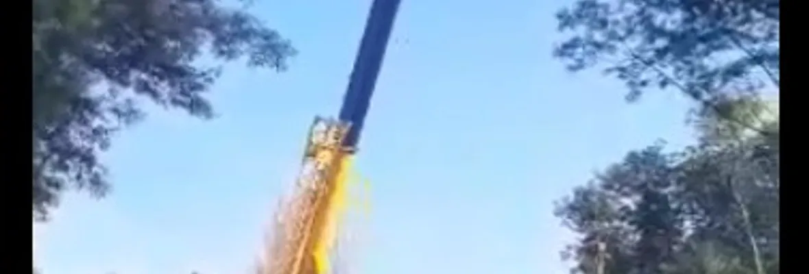 Comunidad El Ciruelo Sur acusa desarrollo de obras de Parque Eólico Mesamávida pese a oposición de la población