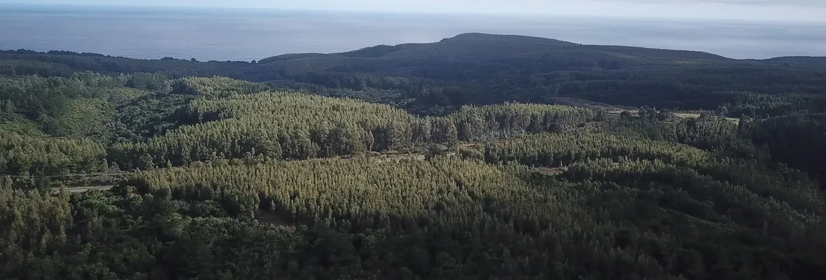 Imágenes satelitales muestran cómo la Armada ha explotado bosques y plantaciones en la Península de Tumbes durante décadas