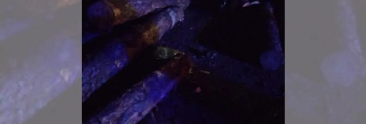 Nuevo accidente fatal de transporte forestal: Carga de madera de un camión se soltó dejando al menos dos fallecidos en la Ruta 160