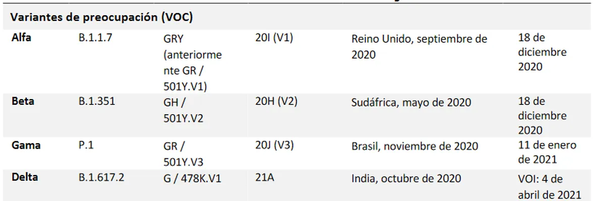 Coronavirus: Las variantes Gamma (43,0%) y Lambda (24,3%) se mantienen como las predominantes en Chile