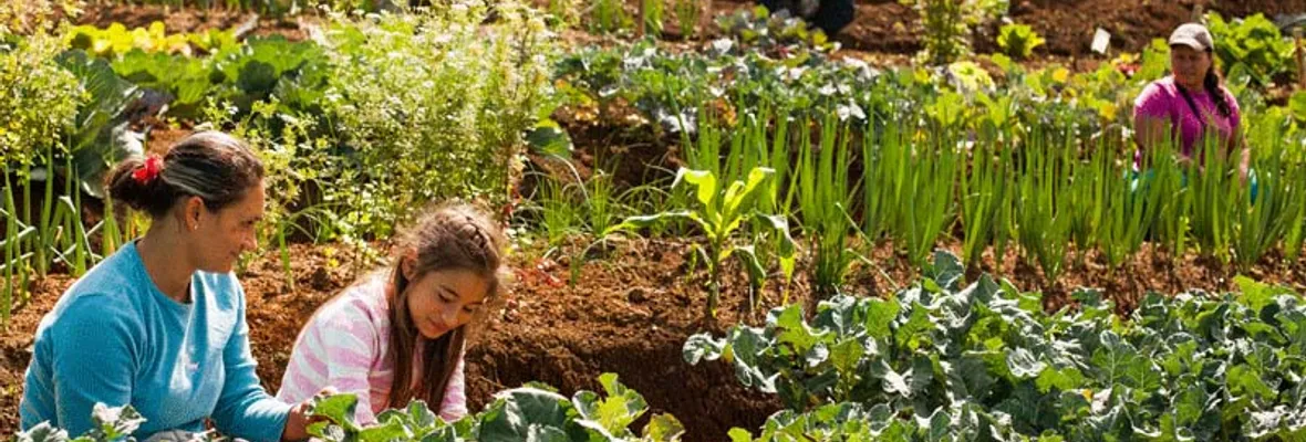 Llaman a participar en el 2do congreso chileno de Agroecología