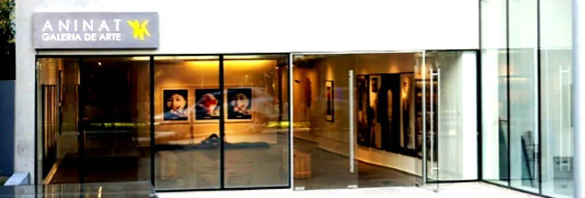 Antes que MINCAP asignara millones a Espacio Aninat y Patricia Ready Galería, trabajadoras/es habrían solicitado prevenir tal “distorsión” en vano