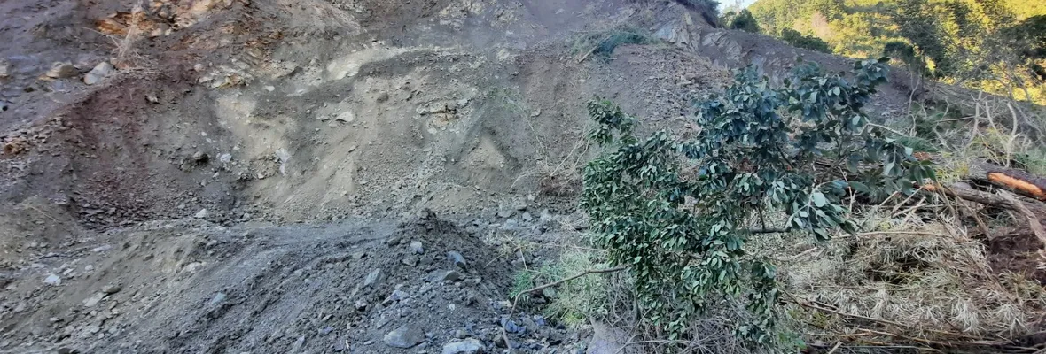 Las impactantes imágenes de la destrucción de flora nativa por una faena de áridos sin permiso en Hualqui