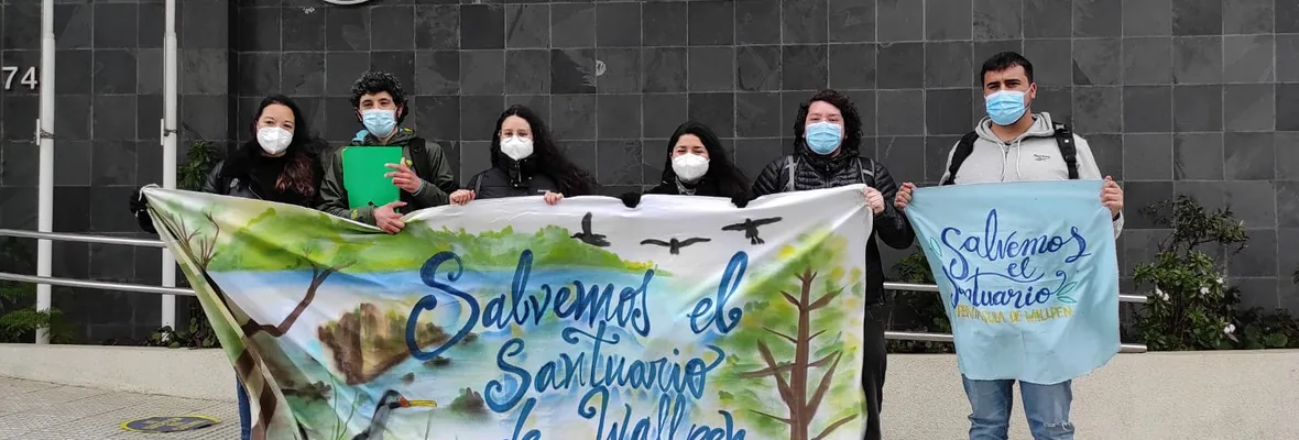 Denuncian ante Contraloría irregularidades que permiten destrucción de Santuario de la Naturaleza de Hualpén
