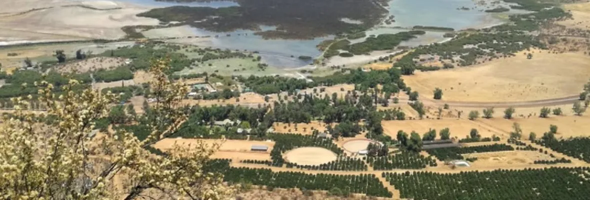 Vecinos y vecinas piden ampliar a 600 hectáreas Santuario de la Naturaleza del humedal de Batuco