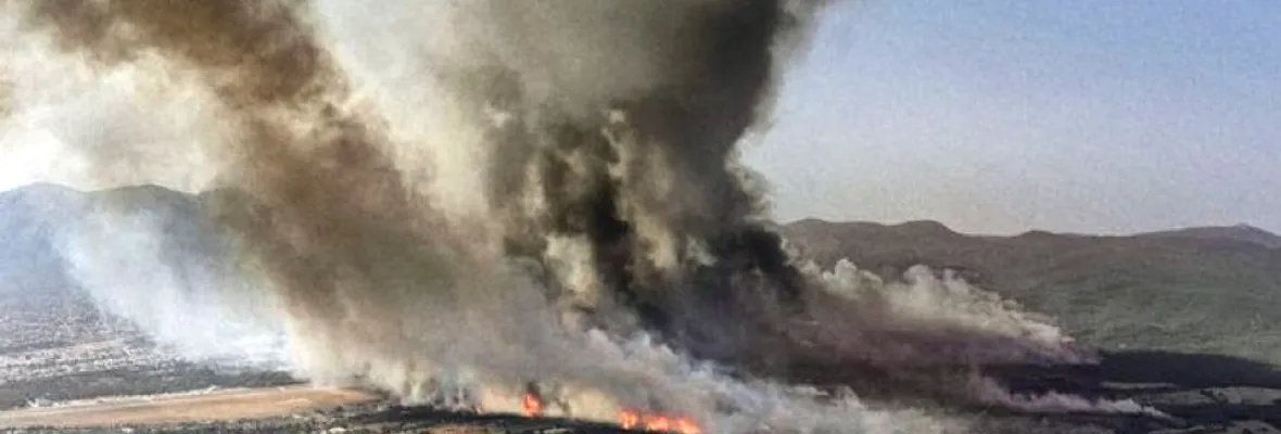 Incendios forestales afectan Europa en medio de intensa ola de calor