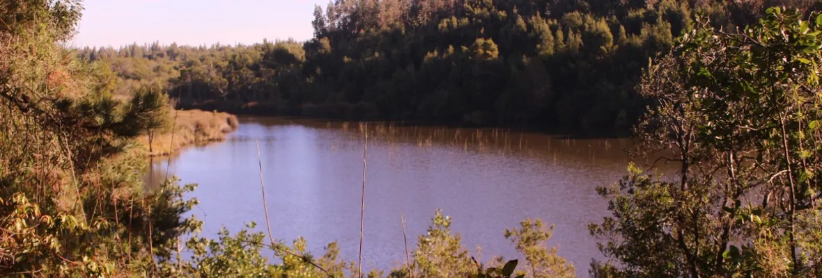 Laguna Junquillar: Convocan a actividad sobre protección de ecosistema amenazado en San Pedro de la Paz
