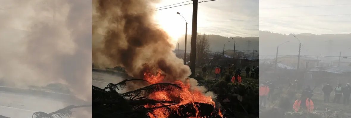 Pobladoras/es de Laraquete exigen entrega de terrenos de Forestal Arauco para solución habitacional