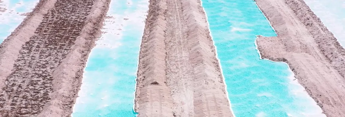 Minería del litio: Nuevo estudio evalúa degradación ambiental en humedal Laguna Santa Rosa y Salar Maricunga en Atacama