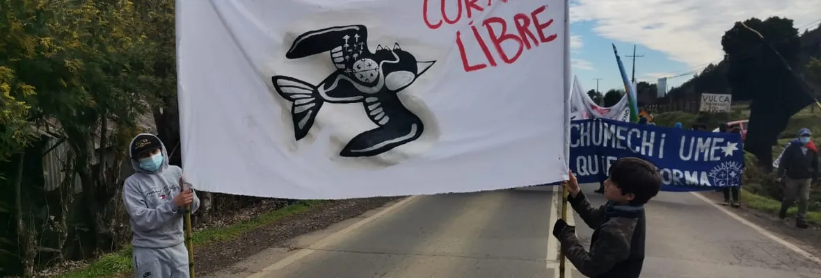 Municipios de Quilaco y Santa Bárbara interponen recurso de protección para intentar frenar obras de Central Rucalhue