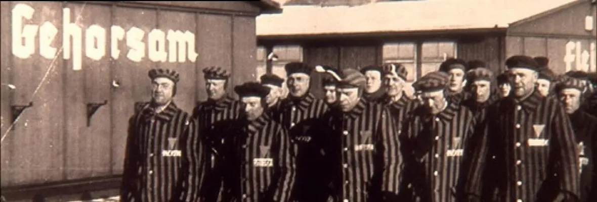 A sus 100 años: Guardia de campo de concentración nazi compareció ante la justicia alemana