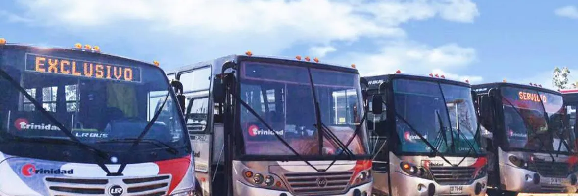 Ha sido un desastre: JJ.VV. de Chaimávida acusa que Transportes Trinidad suspende recorridos y Seremi de Transporte no responde consultas