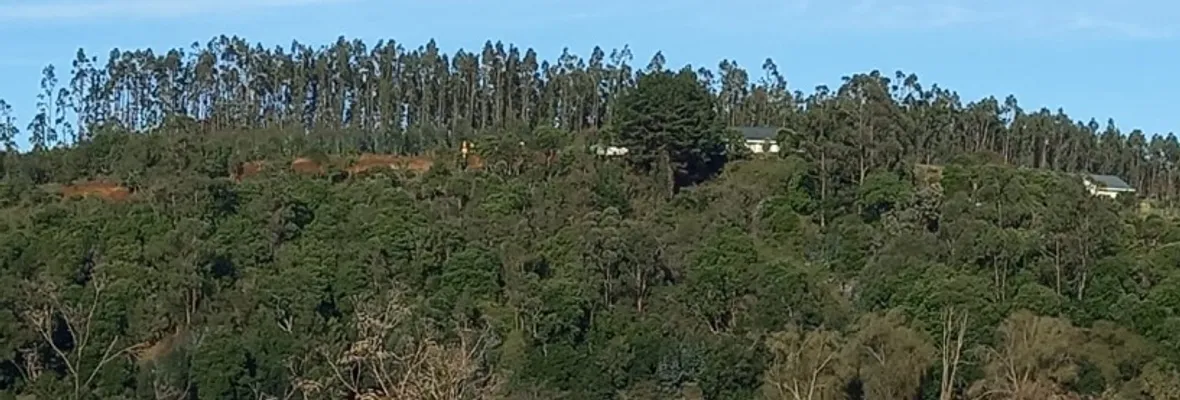 Santuario de la Naturaleza nuevamente en peligro: Pobladora denunció construcción irregular, remoción de tierra y afectación de flora nativa