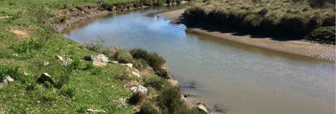 Vecinos/as denuncian nueva amenaza medioambiental en humedal y estero Coliumo