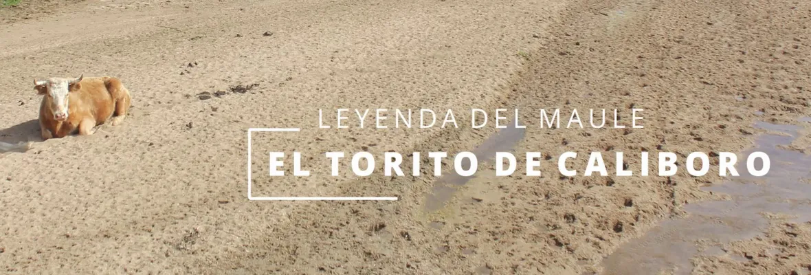 Leyenda "El Torito de Caliboro": Las consecuencias de la ambición por explotar la tierra