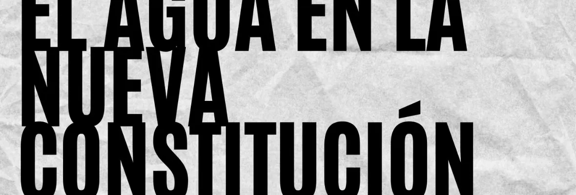 PODCAST | El agua en la nueva Constitución: El Agua en la industria forestal