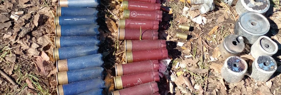 Comunidad desalojada en Alto Biobío denunció desmedida utilización de armamento disuasivo por parte de Carabineros