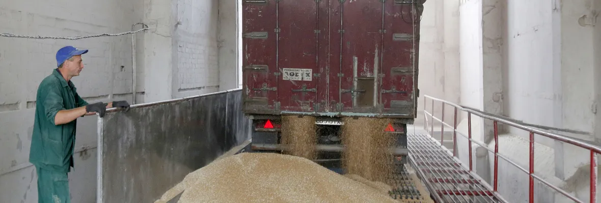Precios de los alimentos presentan importantes alzas a nivel mundial