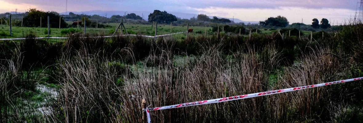 Organizaciones ambientales interpusieron denuncia contra Sociedad Concesionaria Puente Industrial en la Superintendencia del Medio Ambiente