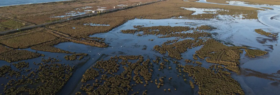 Solicitan a seremi de Medio Ambiente declarar mediante oficio como urbano al humedal Rocuant-Andalién