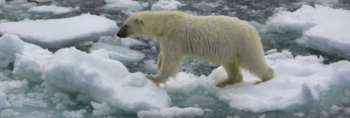 "Es nuestra última esperanza": La alerta con que se dio inicio a la COP26