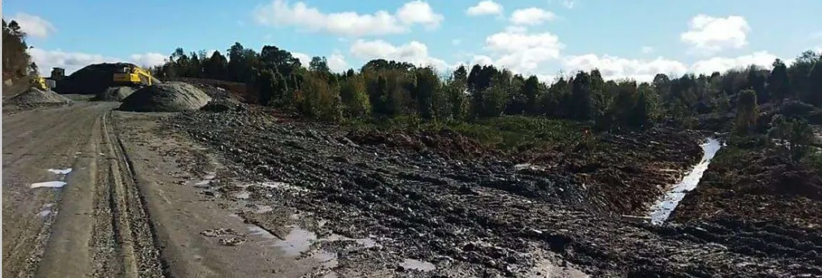 Tribunal Ambiental ordenó a Inmobiliaria Alto Volcanes SpA detener sus faenas sobre humedales en Puerto Montt