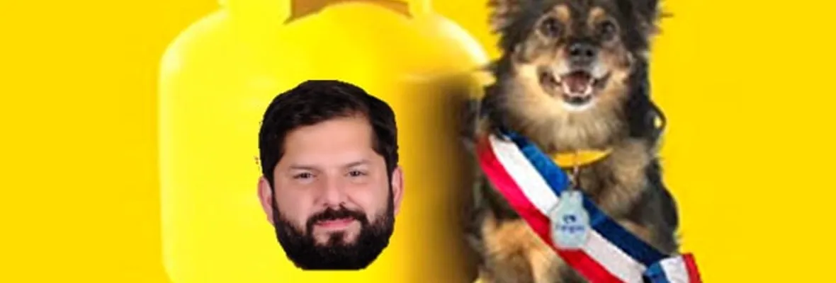 Explosión de creatividad: Los mejores memes en apoyo a Boric tras elecciones