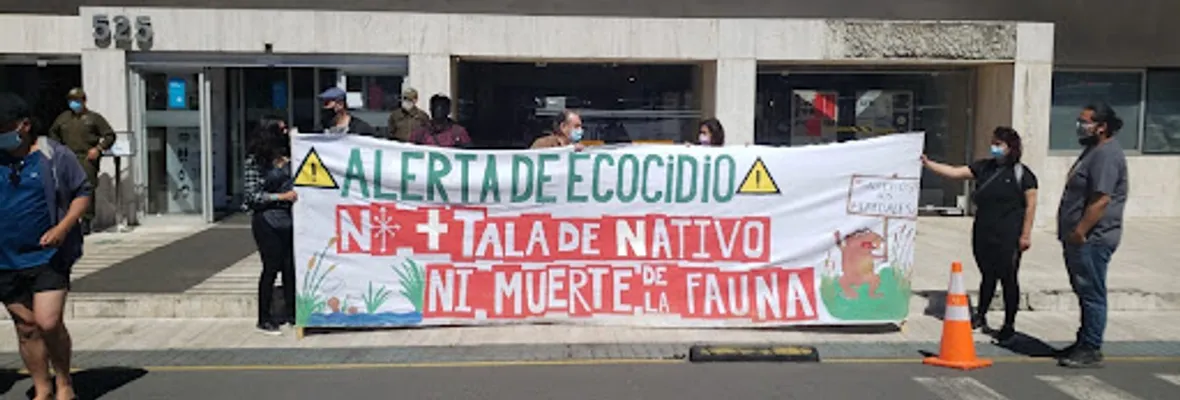Denuncian irregularidades en la RCA del proyecto Puente Industrial tras hallazgo de osamentas humanas