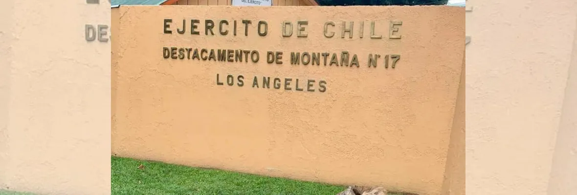 Brigada de homicidios de la PDI investiga muerte de mujer oficial de Ejército al interior de unidad militar en Los Ángeles
