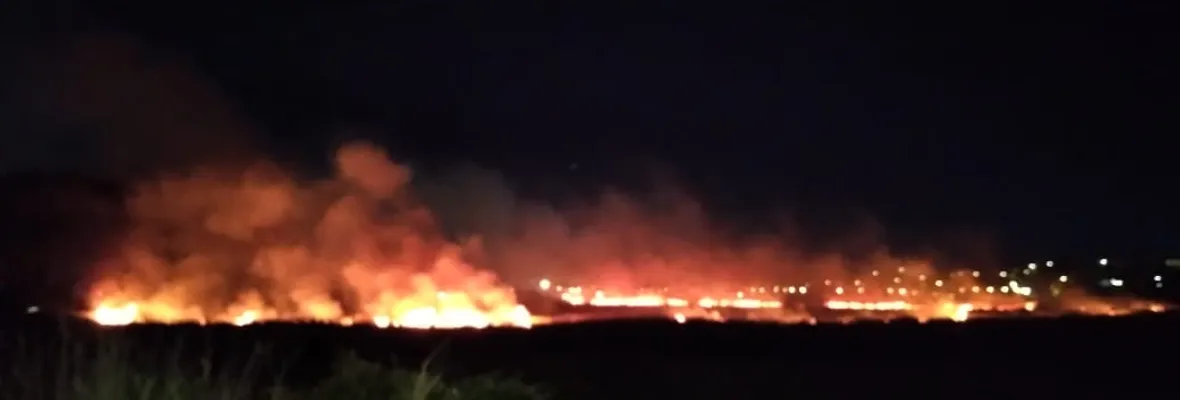 Incendio afectó al menos 7 hectáreas del Humedal Paicaví en Concepción