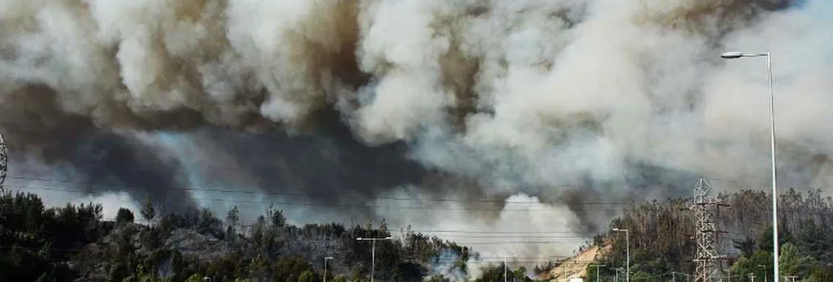 Diputado exige que Senado vuelva de vacaciones para tramitar Ley Corta de Incendios