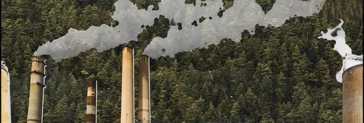 Campaña audiovisual denuncia los impactos del modelo forestal y celulosa en Chile y Wallmapu